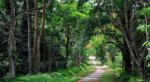 Vietnam's Cuc Phuong Park named Asia's Leading National Park