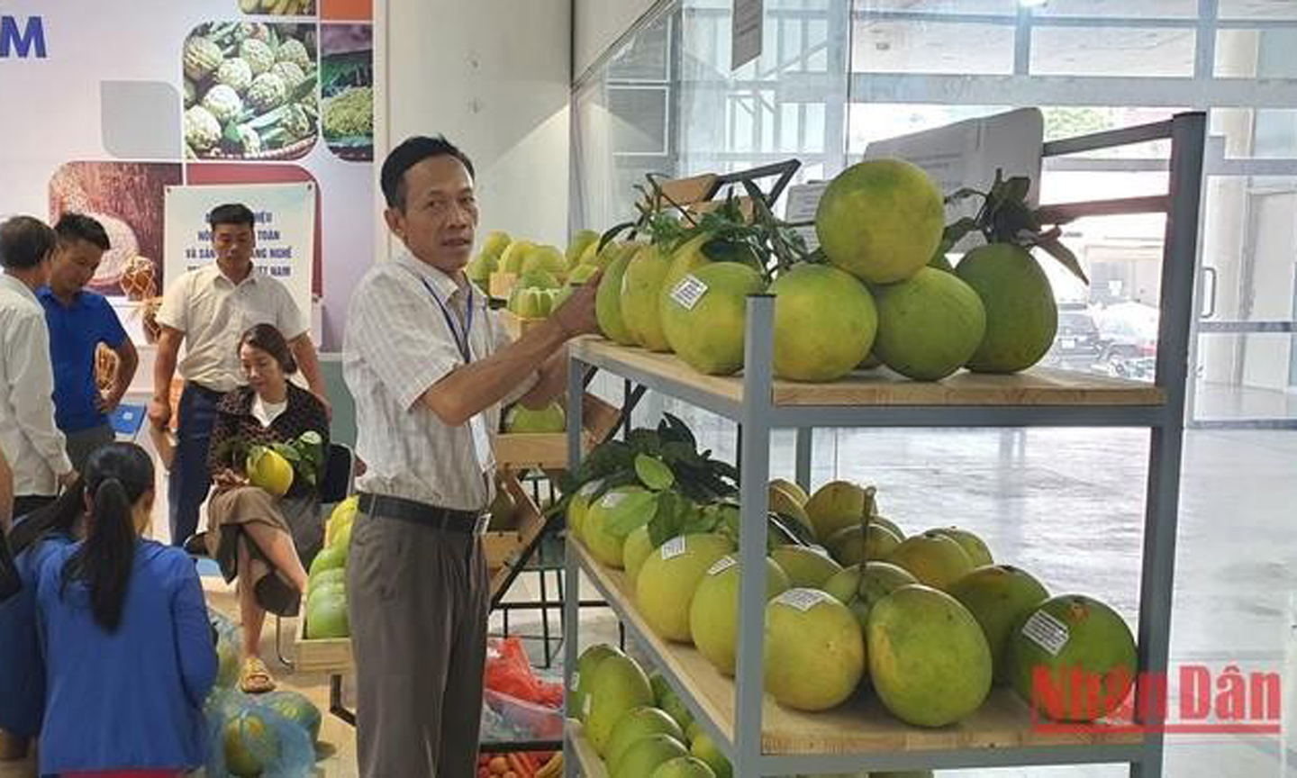 Agricultural products showcased at the space (Photo: NDO).