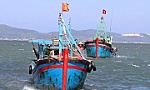 Tien Giang's communications work on IUU fishing pays off