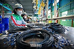 ADB raises Vietnam's economic growth forecast to 7.5%