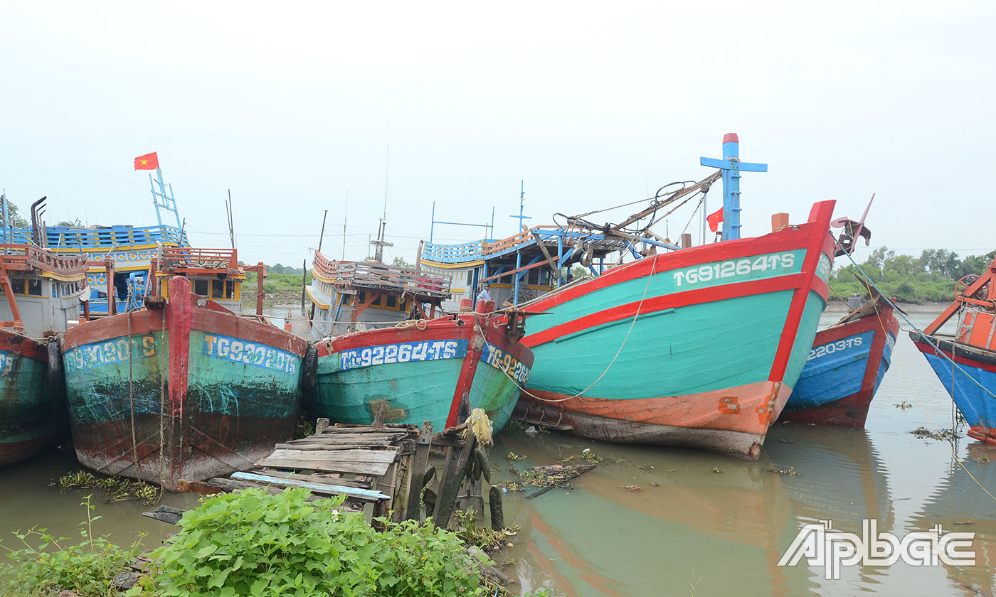 Từ đầu năm đến nay, tỉnh Tiền Giang không có tàu cá vi phạm vùng biển nước ngoài bị bắt giữ.