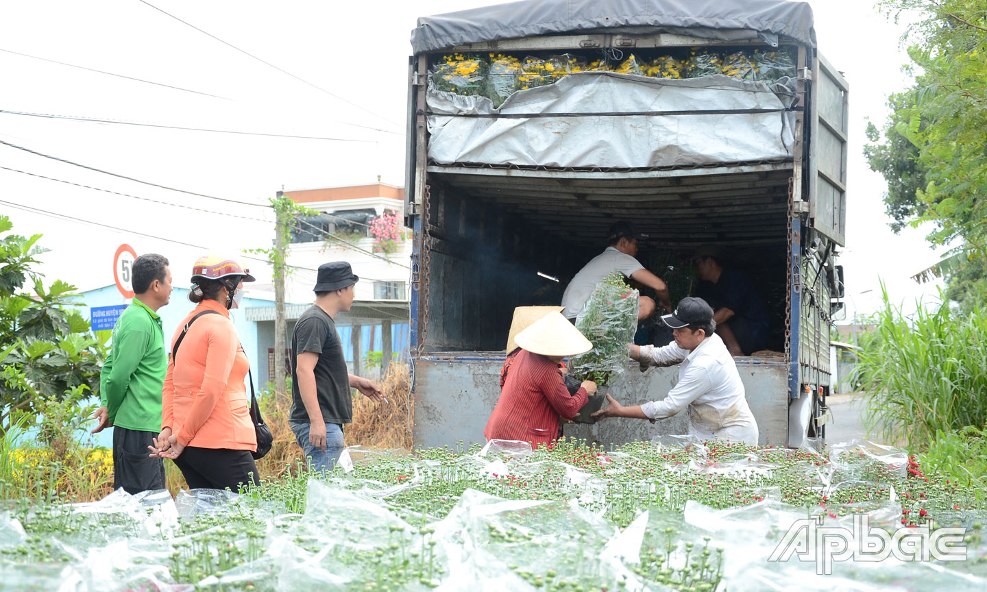 Nhiều nhà vườn đã bán hết hoa tết.