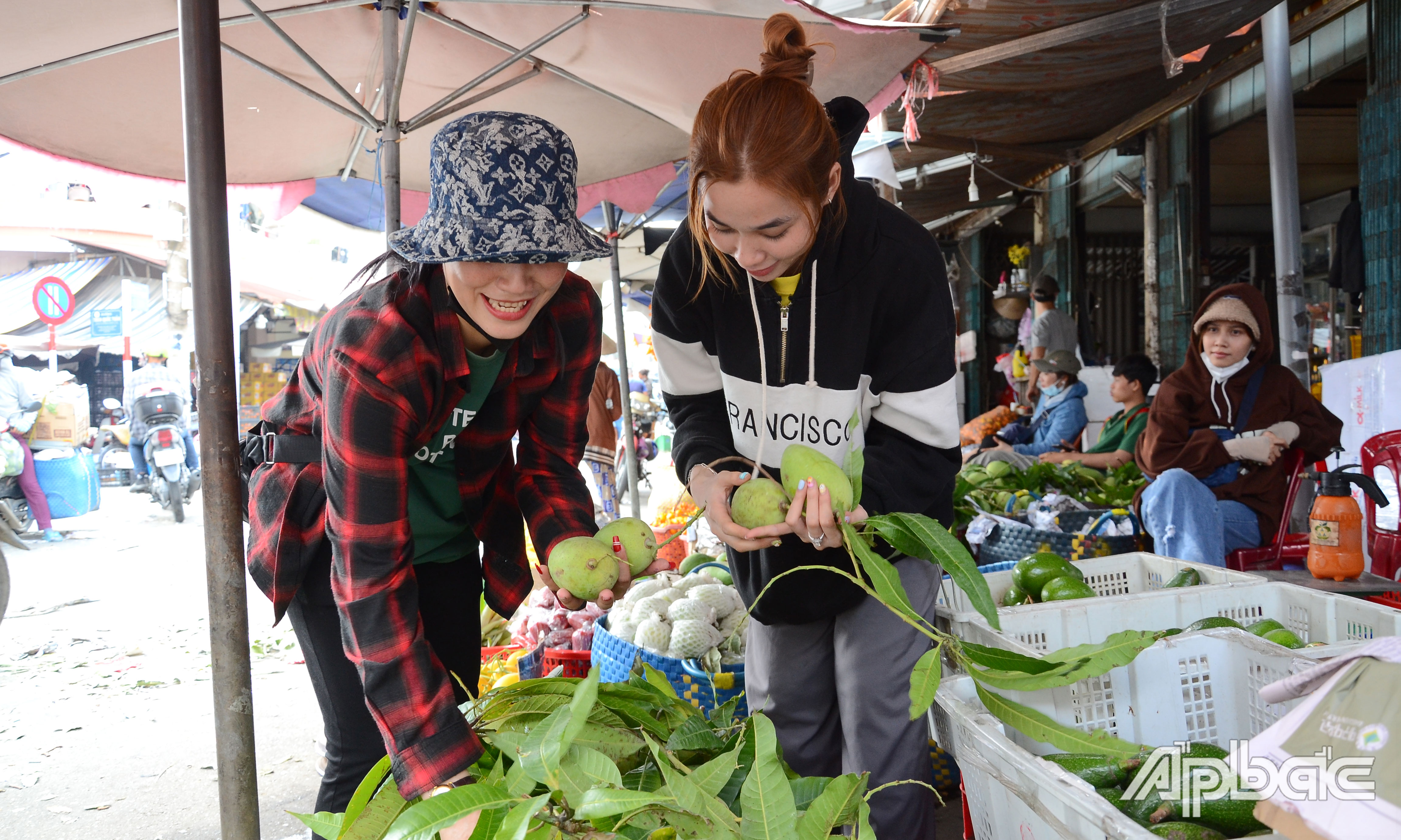 Xoài cát chu có giá khoảng 40.000 đồng/kg.