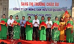 First batch of Quang Tri organic rice exported to EU