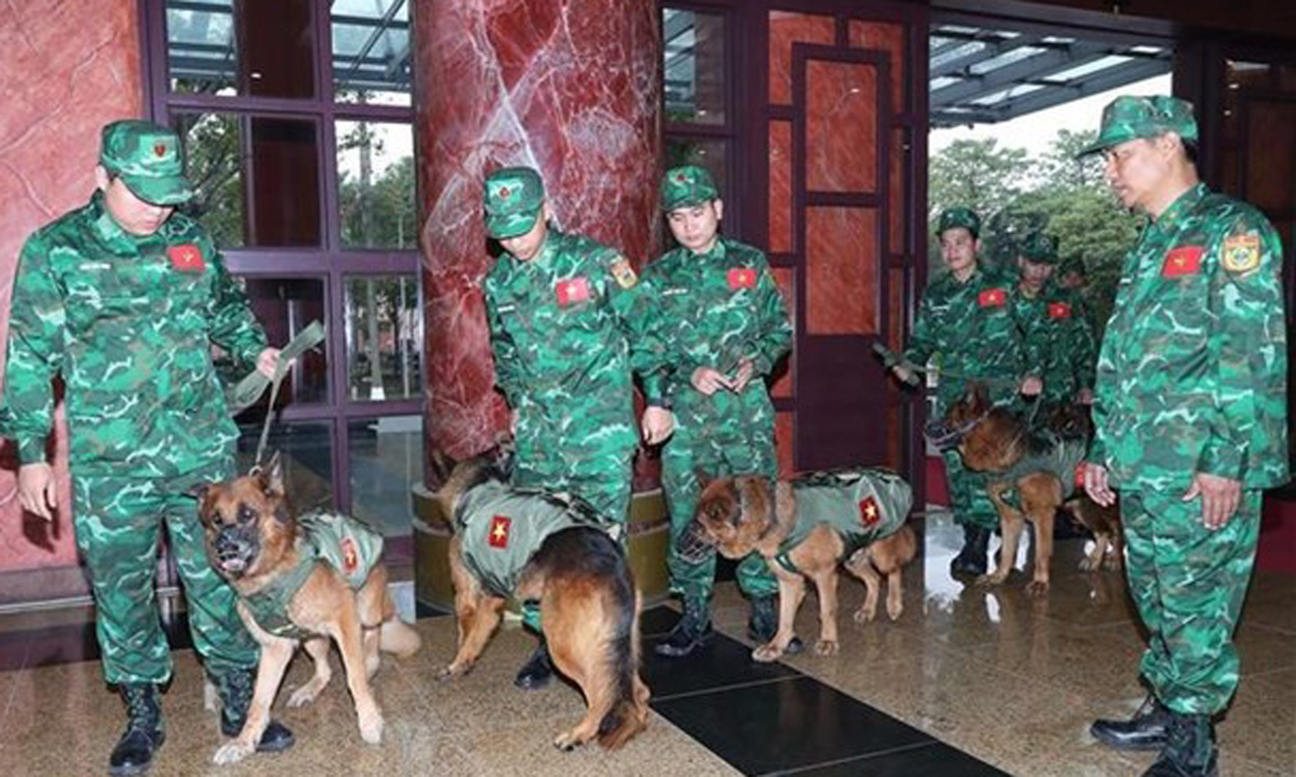 Dispatched servicemen ready for the mission in Turkey. (Photo: VNA).