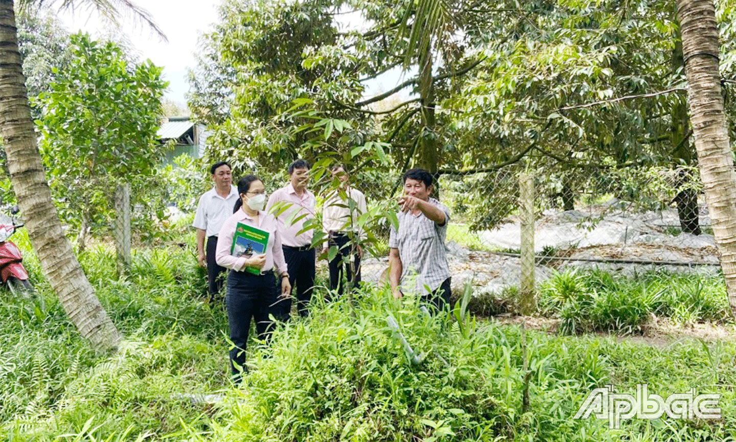 Ngân hàng CSXH tỉnh luôn tạo điều kiện thuận lợi cho các hộ nghèo và đối tượng chính sách vay vốn phát triển sản xuất, ổn định cuộc sống.