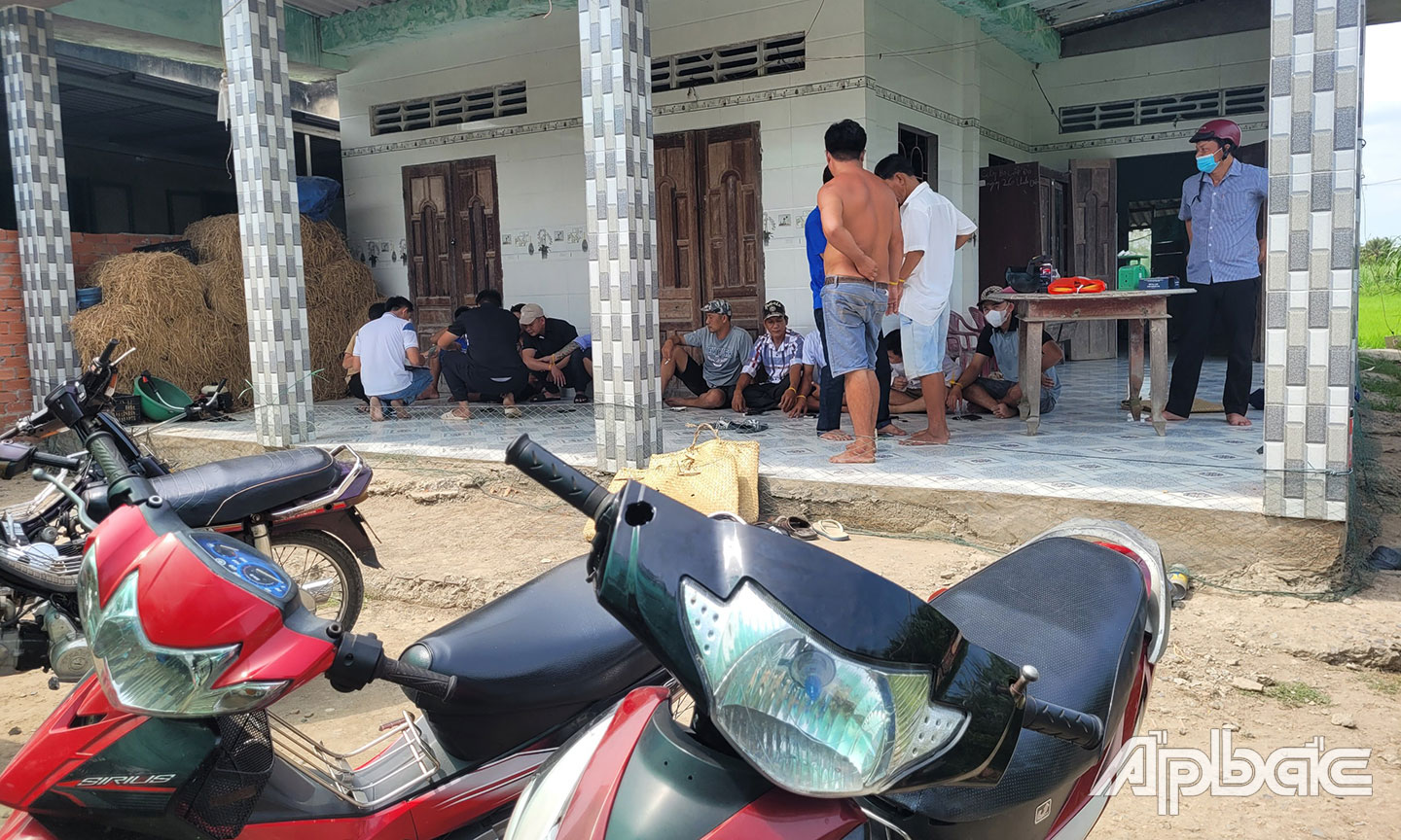 Các đối tượng đá gà bị tạm giữ.