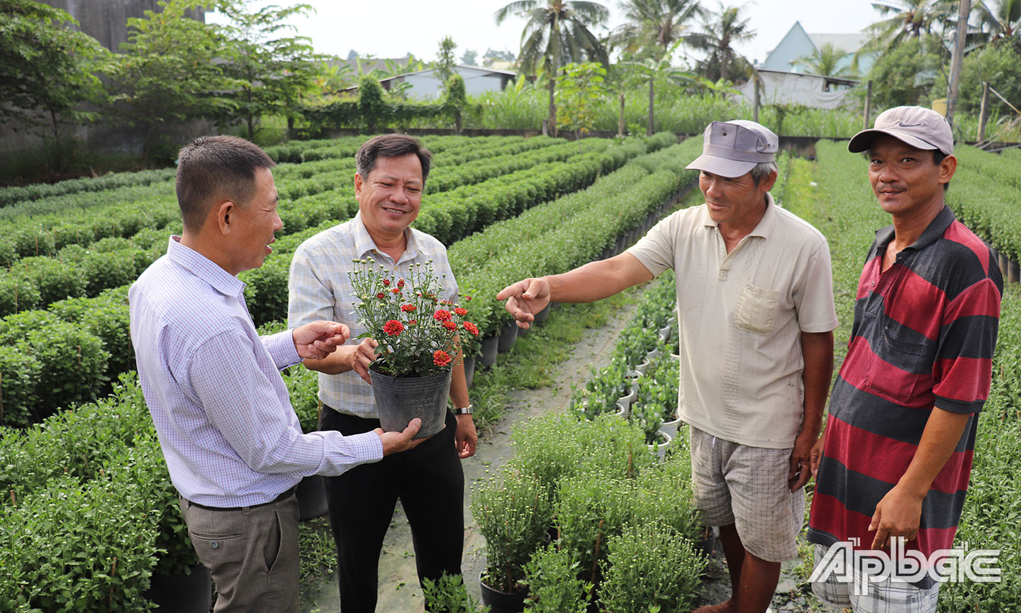 Cán bộ Hội Nông dân phường 9, TP. Mỹ Tho trao đổi kinh nghiệm trồng hoa kiểng với HVND.