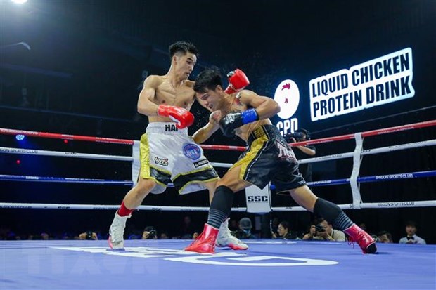 Võ sỹ Nguyễn Ngọc Hải (găng đỏ) trong trận thắng knock-out kỹ thuật giành đai vô địch WBA Nam Á hạng cân super – lightweight với võ sỹ người Thái Lan Campee Phayom. (Ảnh: Thanh Vũ/TTXVN)