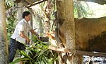 Phát triển kinh tế để xây dựng gia đình hạnh phúc