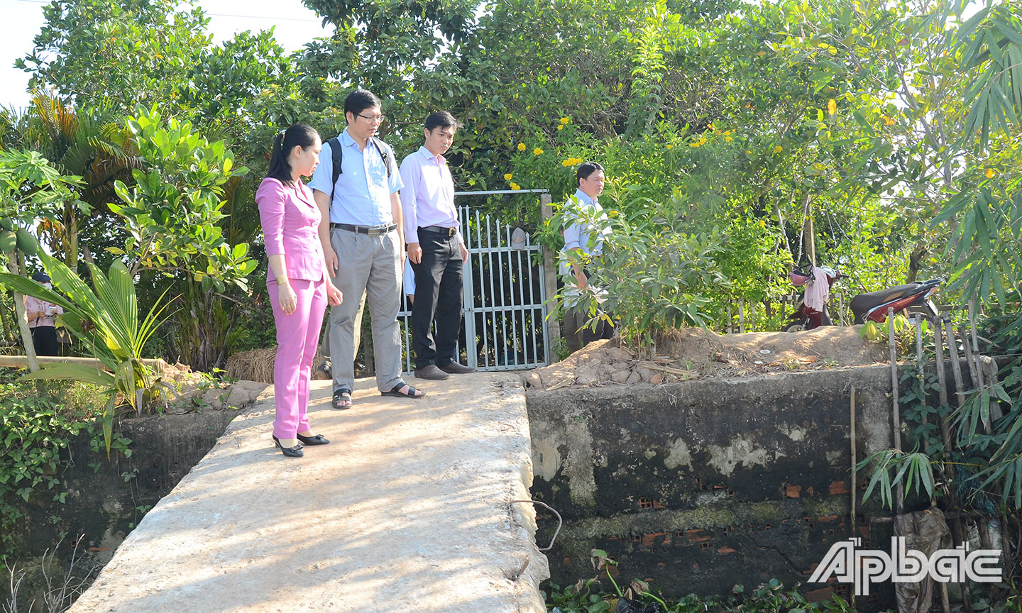 Các ngành chức năng và chính quyền địa phương khảo sát tình hình sạt lở tại đầu cù lao Tân Phong.