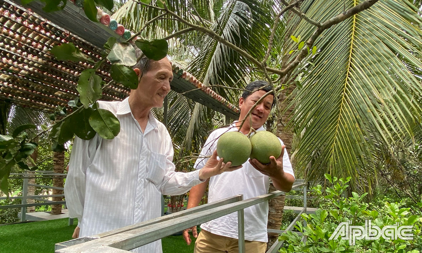 Ông Đoàn Văn Khanh (bên trái), người du kích vành đai của xã Song Thuận năm xưa, nay làm giàu trên chính quê hương mình.