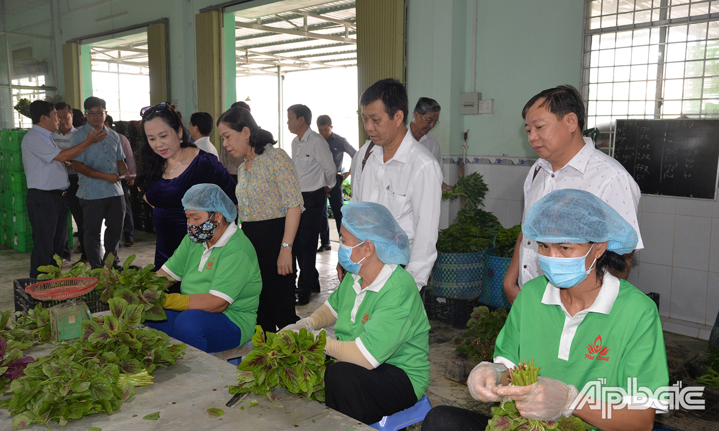 HTX Nông nghiệp TMDV Phú Quới