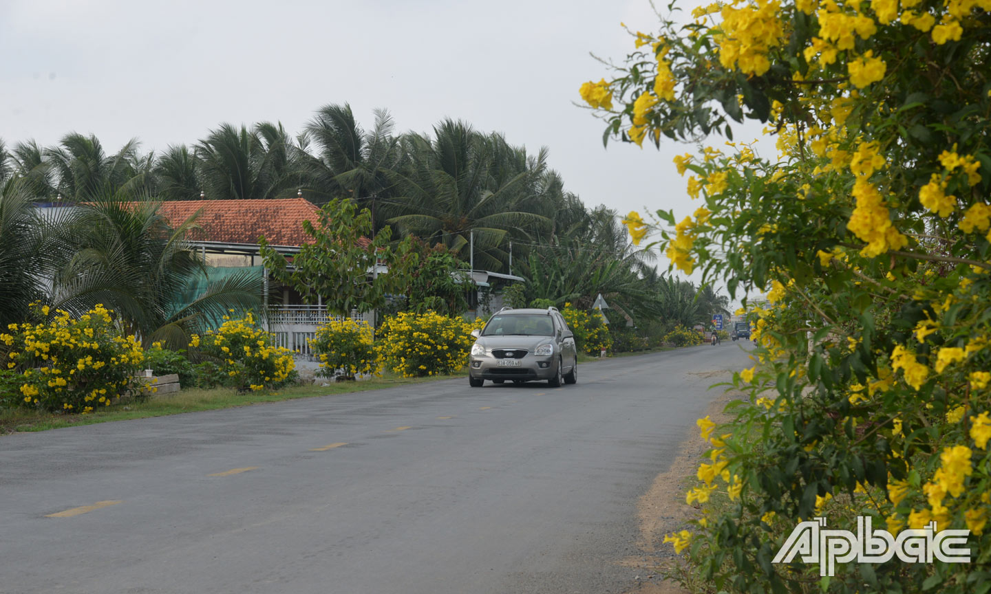 Nhiều tuyến đường trên địa bàn xã  khang trang, sạch - đẹp.