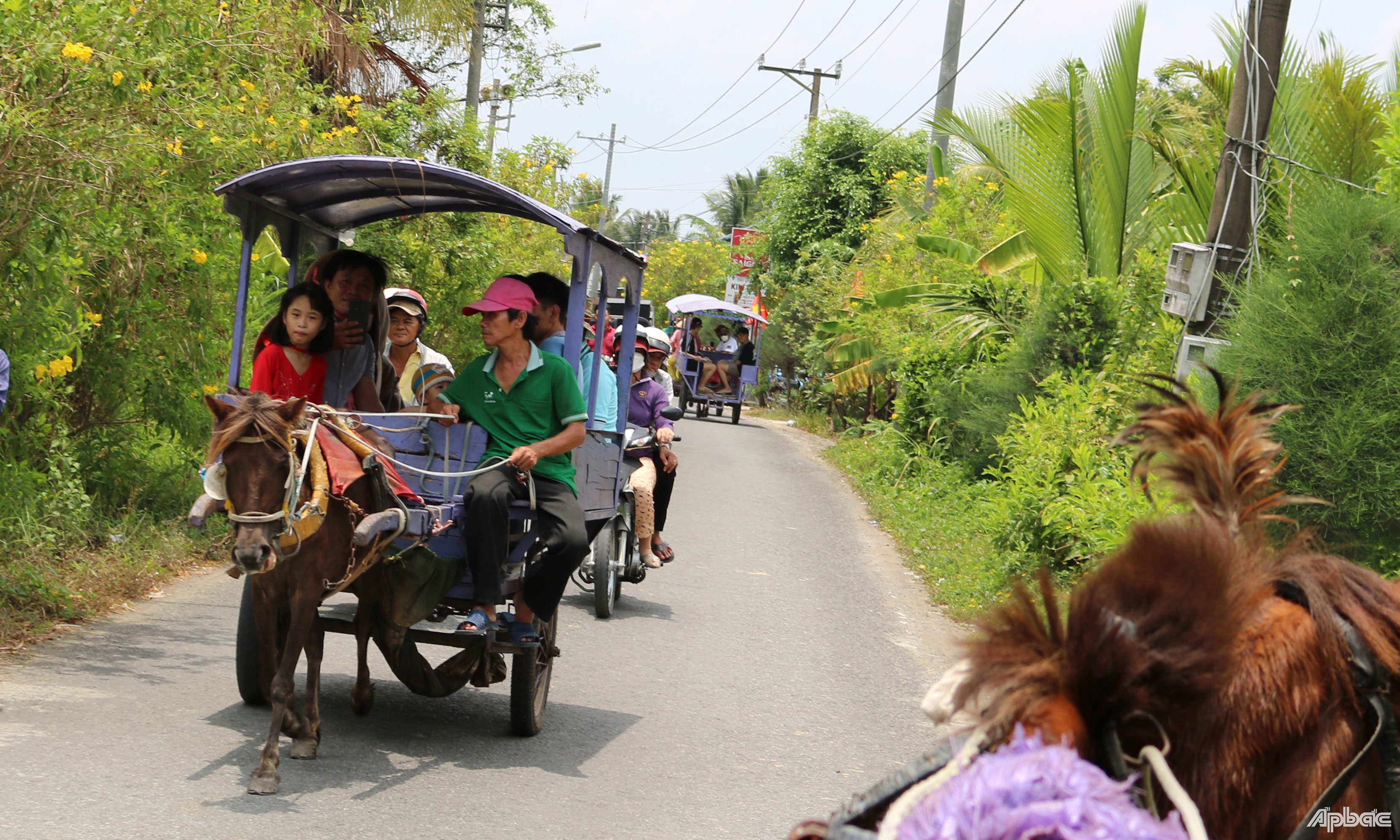Du khách đi xe ngựa tại cù lao Thới Sơn.