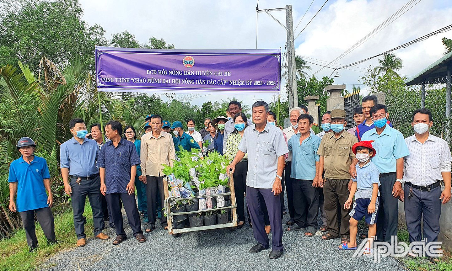 Hội Nông dân huyện Cái Bè thực hiện tuyến đường hoa ở xã Hòa Khánh.