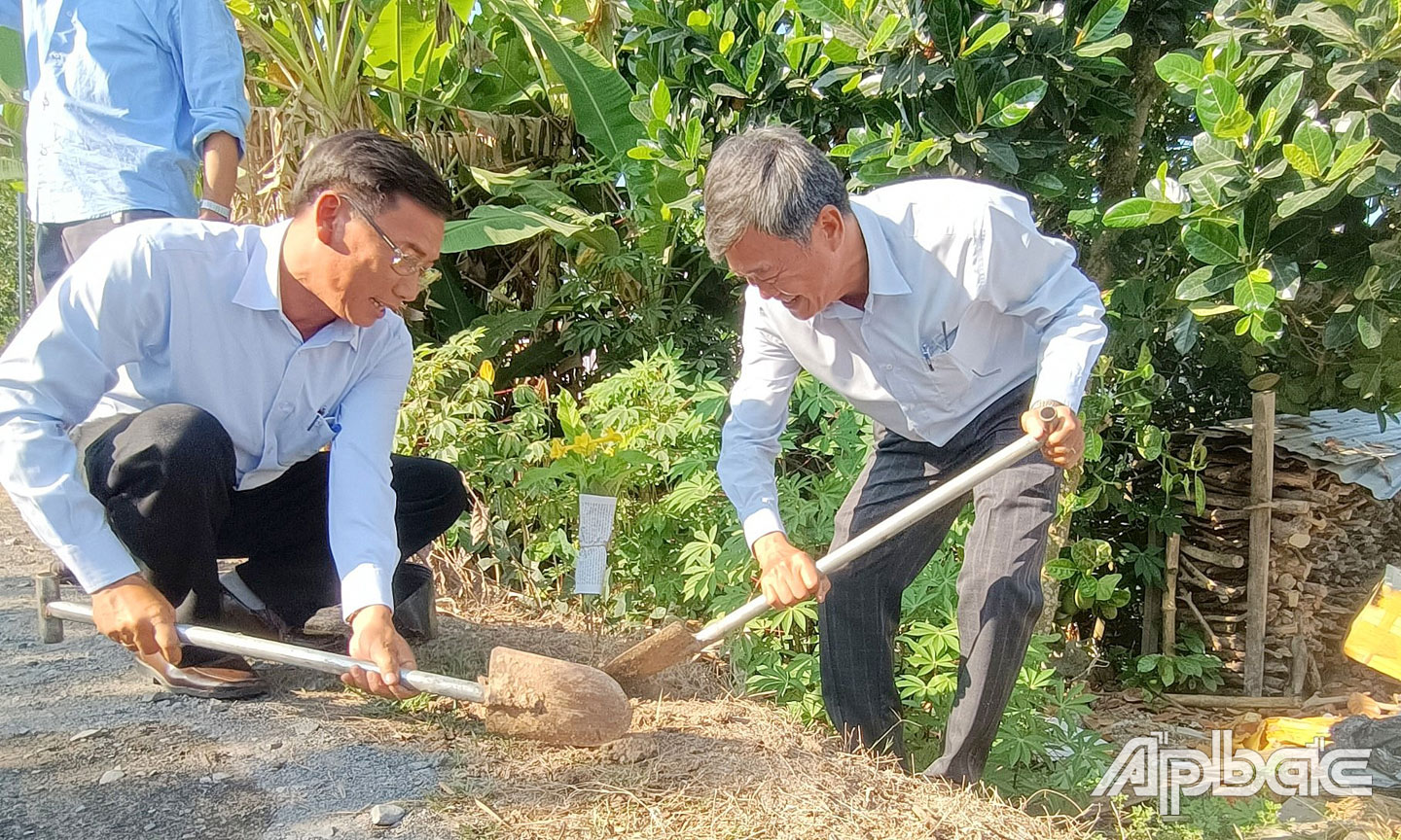 Hưởng ứng, chuẩn bị ra mắt huyện nông nông thôn mới năm 2023, Chủ tịch Hội Nông dân huyện Cái Bè và Phó Chủ tịch UBND huyện Cái Bè trồng cây hoàng yến tại huyện lộ 79