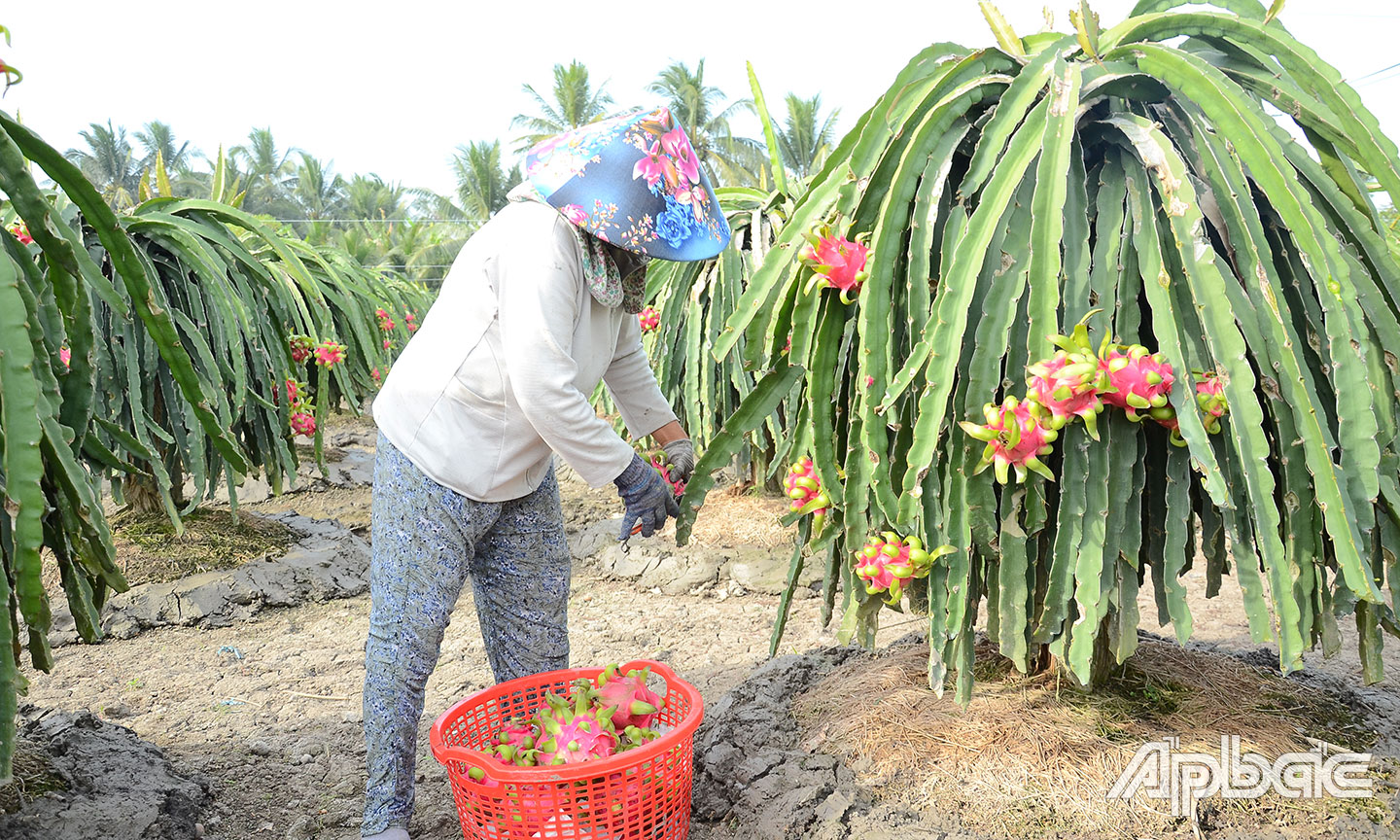  Ngành Nông nghiệp đang triển khai các giải pháp để quản lý chặt việc sử dụng MSVT, MSCSĐG.