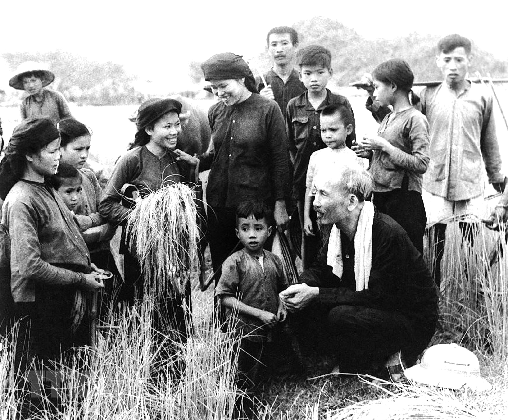 Bác Hồ thăm nông dân hợp tác xã Hùng Sơn, huyện Đại Từ, tỉnh Thái Nguyên gặt lúa năm 1954.       					                                                                                                                        Ảnh: TTXVN       