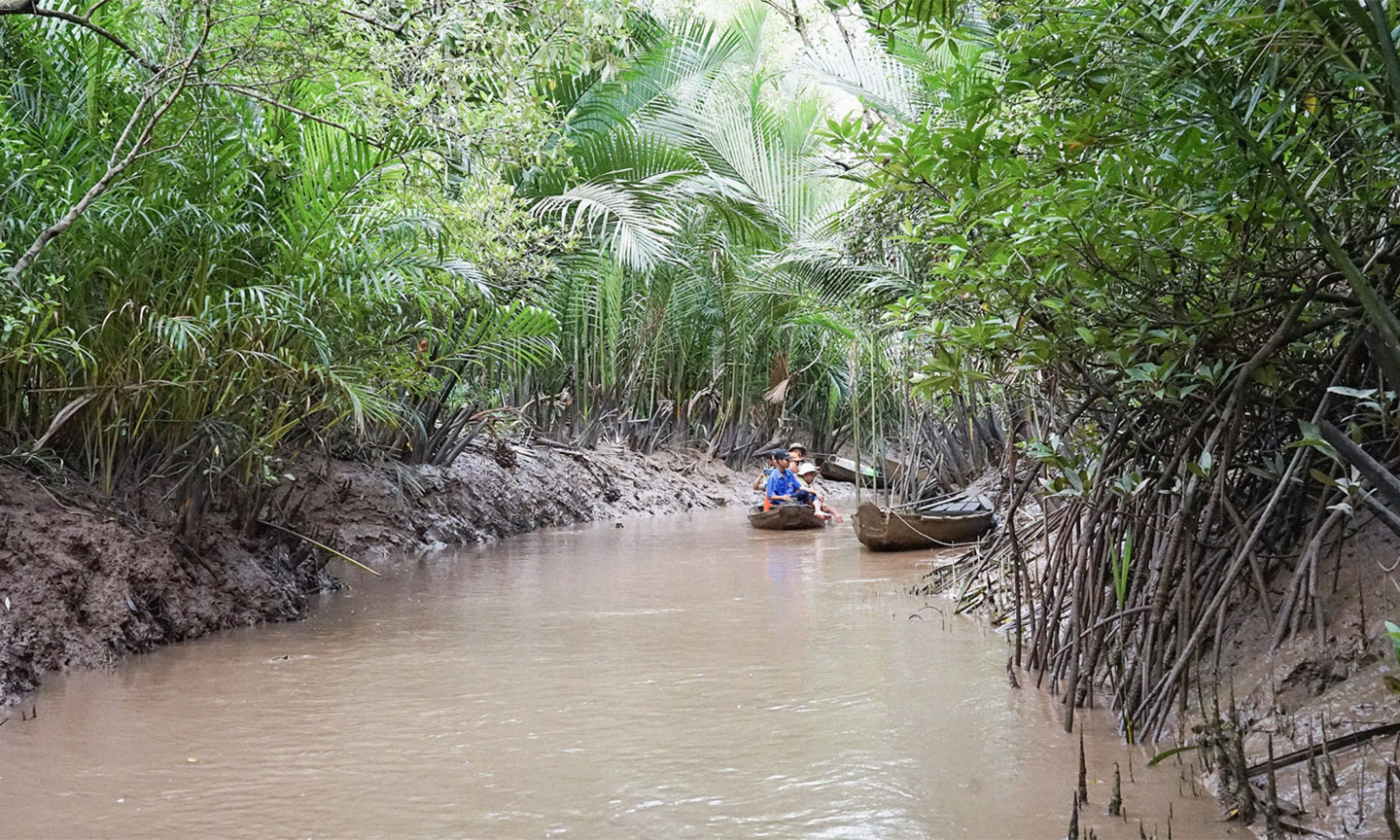 Cù Lao Dung dự kiến mở rộng diện tích nuôi thuỷ sản dưới tán rừng, phát triển du lịch.
