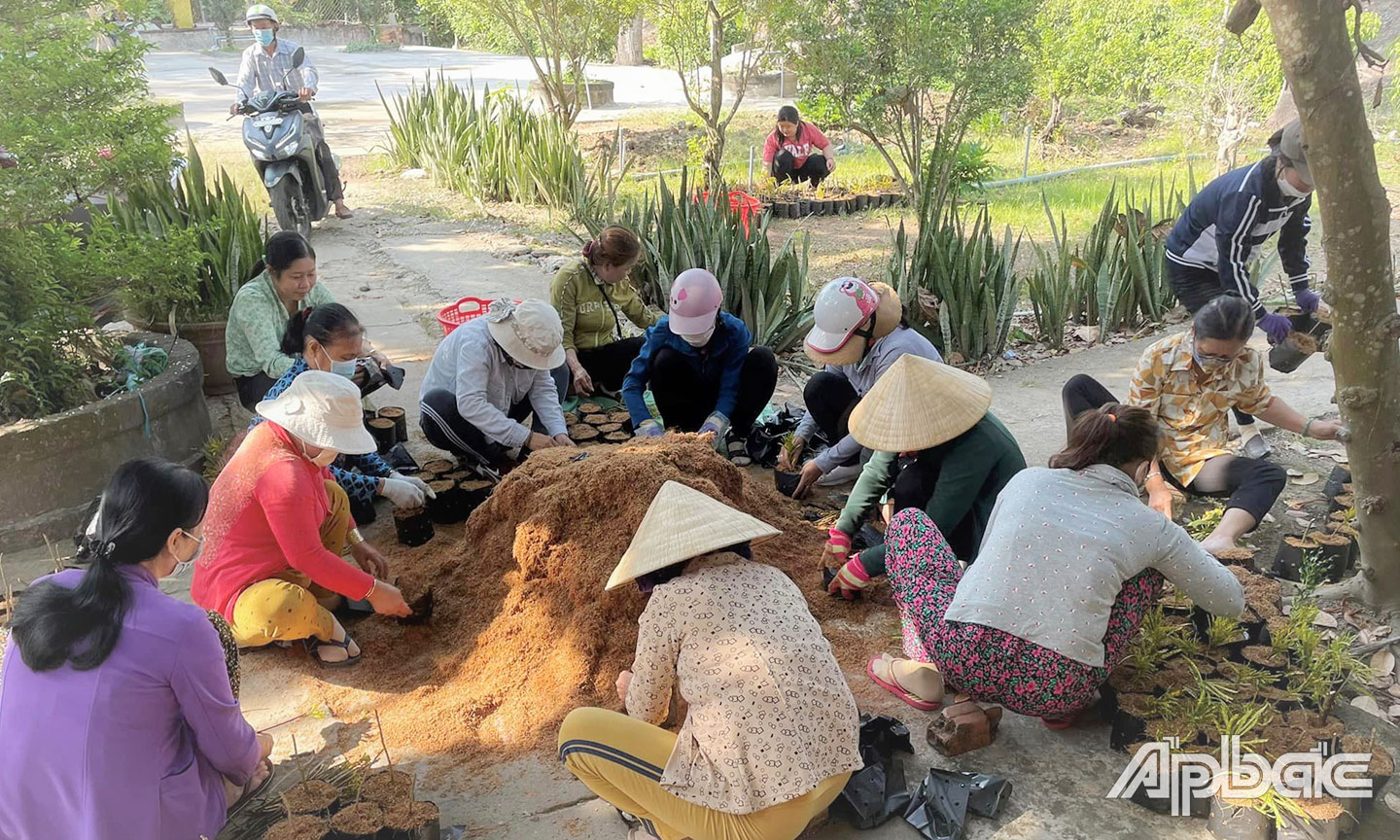  Cán bộ, hội viên, đoàn viên xã Long Khánh ươm cây trồng dọc tuyến đường kiểu mẫu.