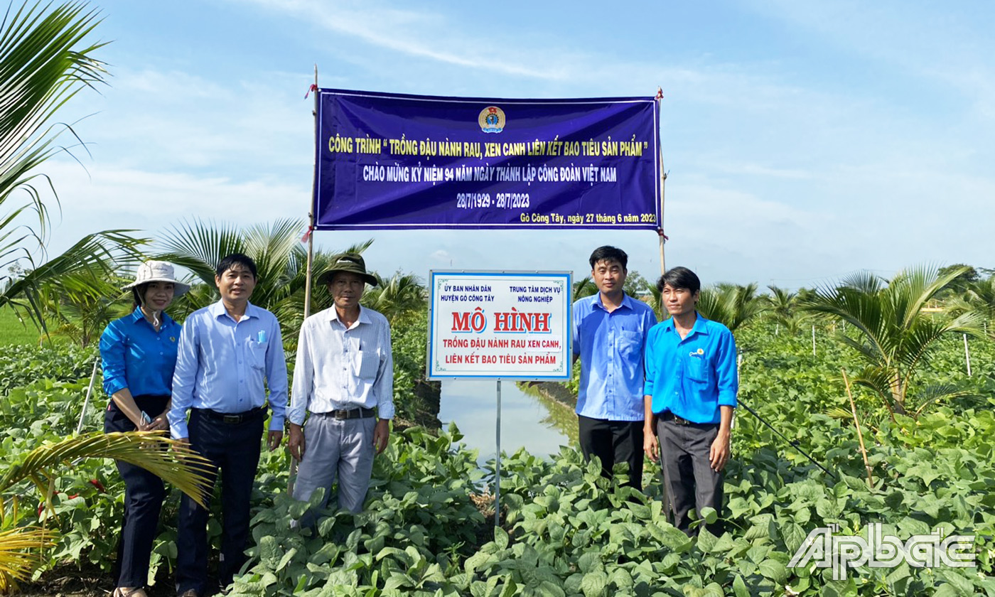 đại biểu đã đến tham quan thực tế trên cánh đồng trồng cây đậu nành rau xen canh trong vườn dừa 