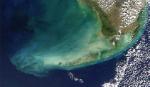 Biến đổi khí hậu toàn cầu làm màu đại dương chuyển từ xanh lá sang lục