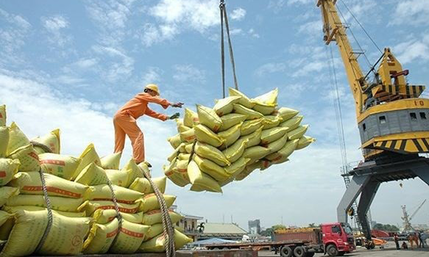 Vietnam remains the biggest rice provider of the Philippines. (Photo: VNA).