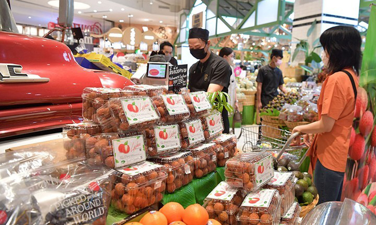 ABO/NDO- The first batch of Bac Giang lychees exported to Thailand via the official channel has been introduced to Thai consumers by The Mall Group at its seven shopping malls.