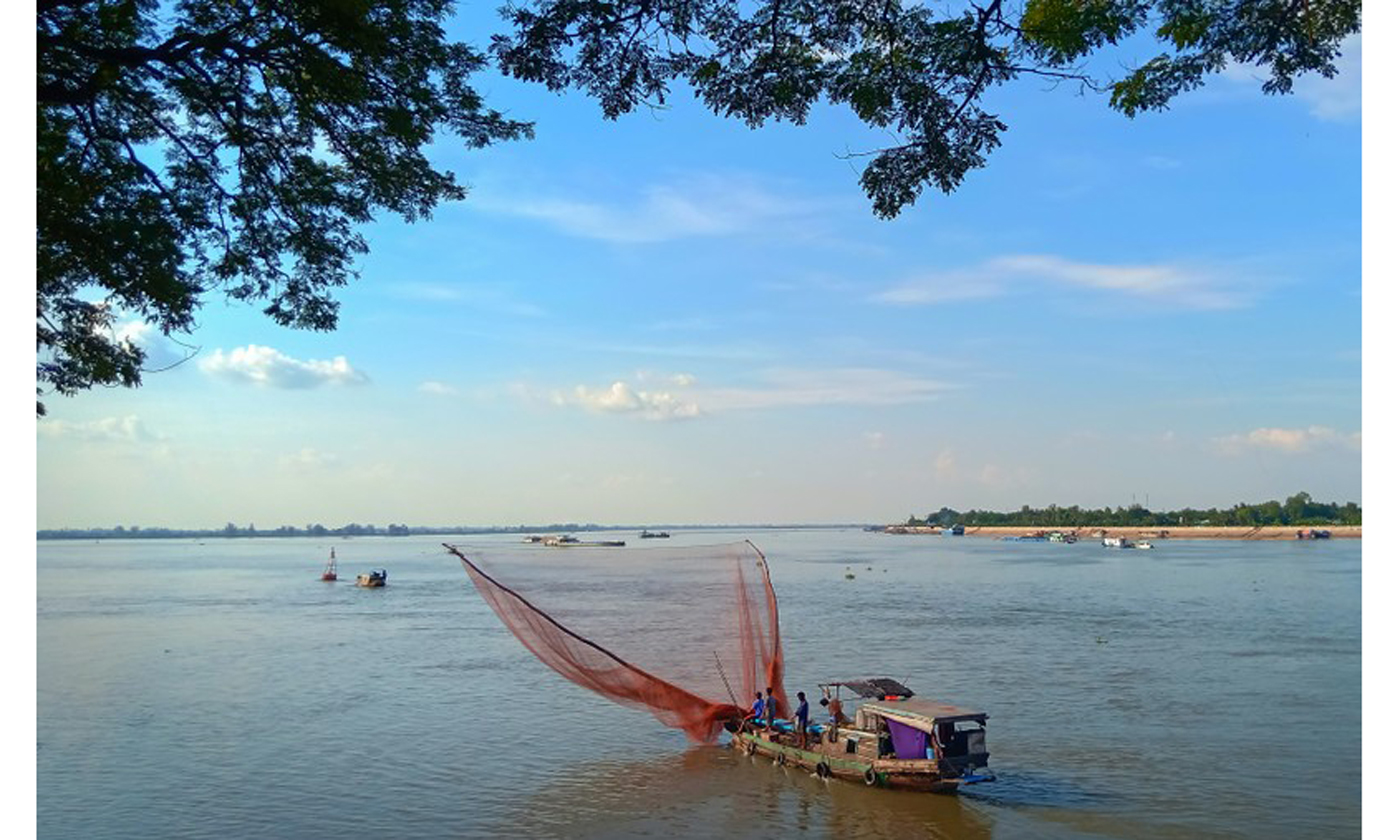 Nghề đẩy te trên sông Tiền, thị xã Tân Châu, tỉnh An Giang. Ảnh: Lê Phương