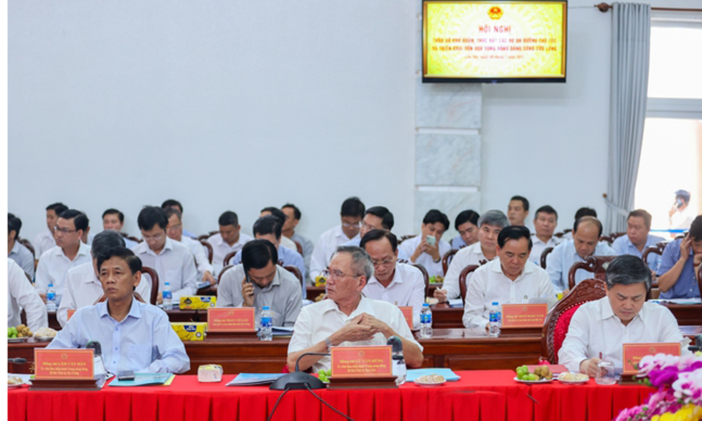 Lãnh đạo các tỉnh, thành phố vùng ĐBSCL tham dự hội nghị - Ảnh: VGP