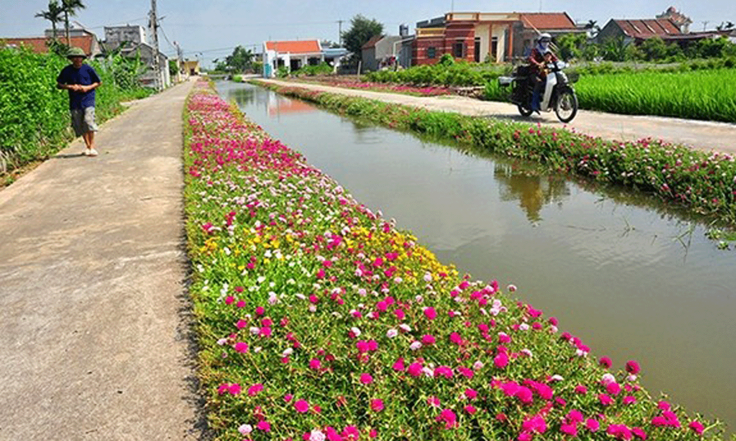 The country now has 6,022 out of 8,177 communes meeting the standards set out for new-style rural areas (Illustrative image/Photo: NDO).