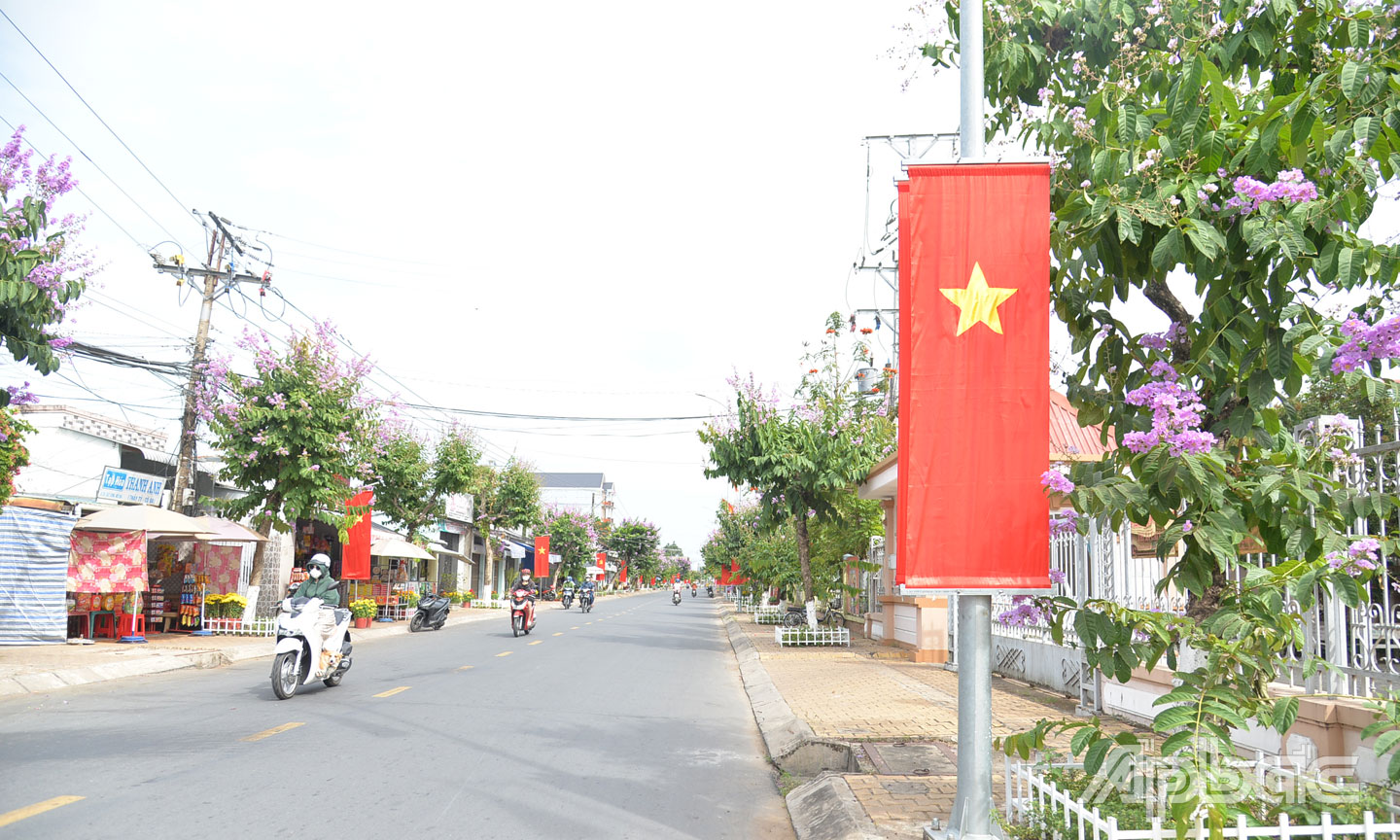 Đường Mỹ Trang là một trong những điểm nhấn về chỉnh trang đô thị và phát triển kinh tế - xã hội của phường 4 nói riêng và thị xã nói chung.