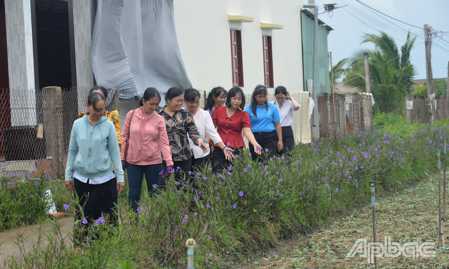 Tuyến đường hoa phụ nữ tại tuyến đường Sáu Lô, ấp Bà Căng, xã Tân Thành, huyện Gò Công Đông.