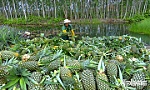 BÀI 4: Tạo sức bật mới