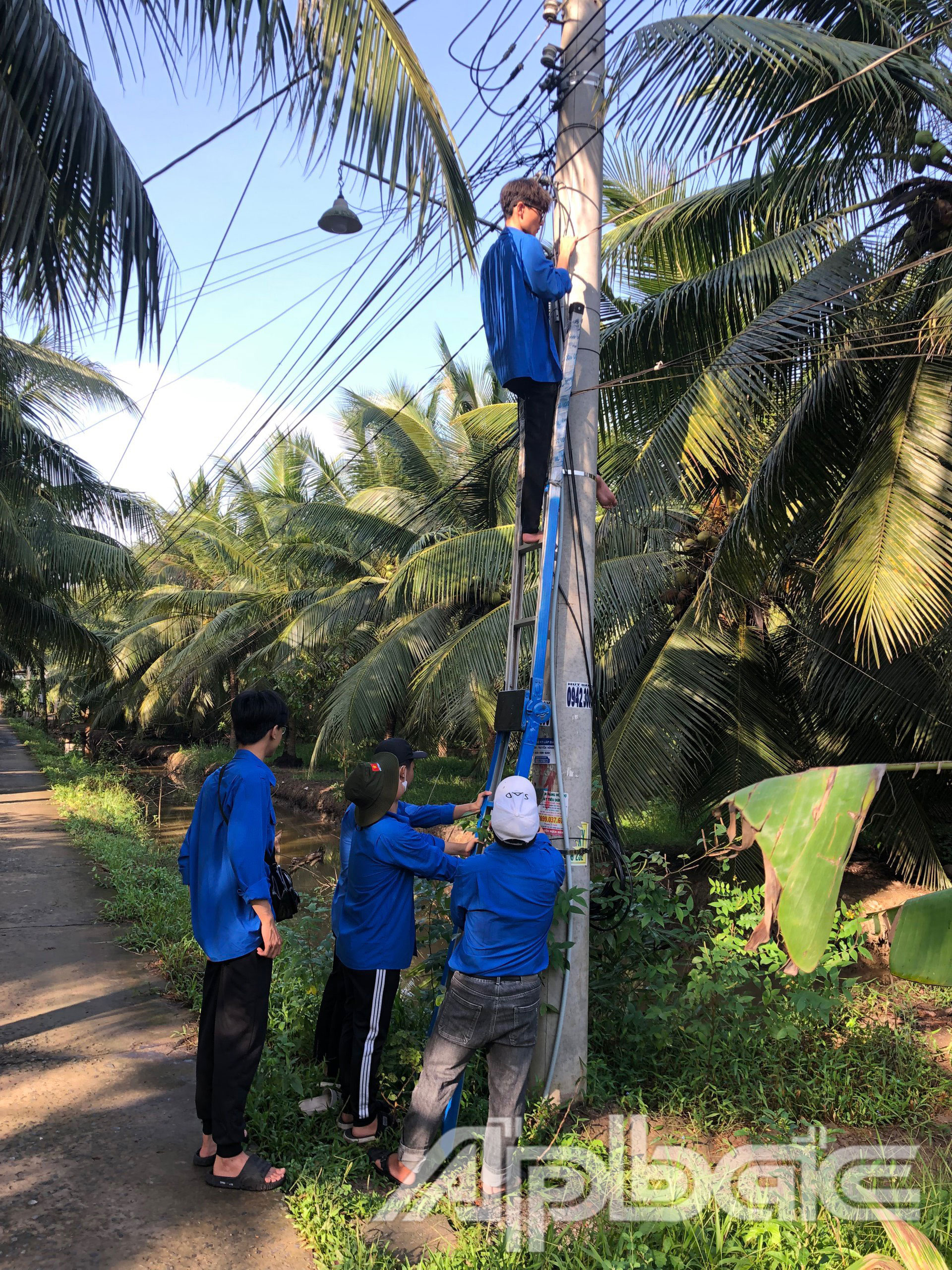 Thanh niên tình nguyện thực hiện nâng cao đường dây điện.