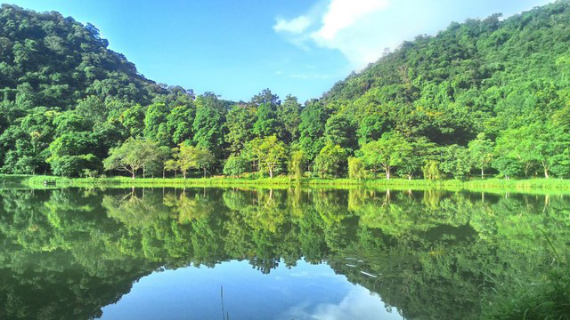 Vườn quốc gia Cúc Phương - Ảnh: Sở Du lịch Ninh Bình