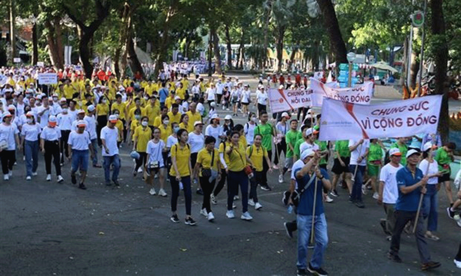 ABO/NDO- A charity walk for Agent Orange/dioxin victims was held at Dam Sen Cultural Park in Ho Chi Minh City on August 12, with 5,000 people taking part.