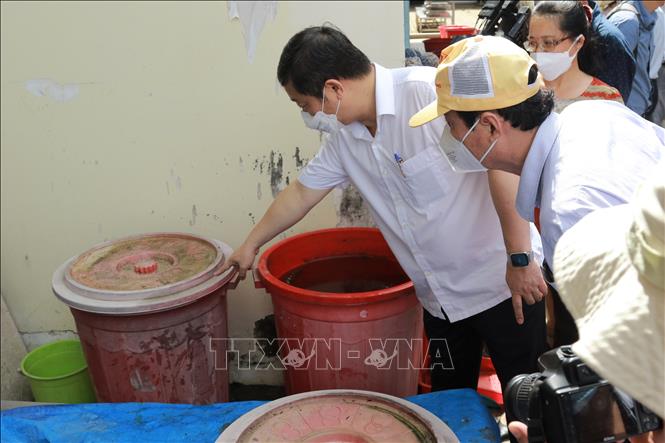 TP Hồ Chí Minh kiểm tra công tác phòng, chống sốt xuất huyết tại xã Thới Tam Thôn. Ảnh: Đinh Hằng/TTXVN