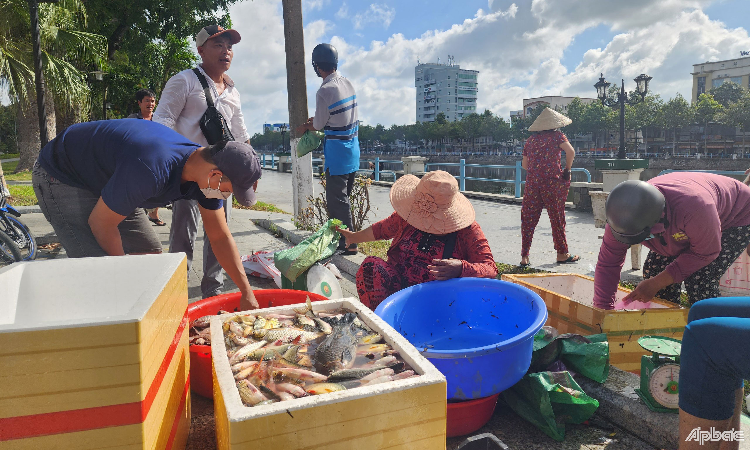 Cá bắt lên được bán tại chỗ.