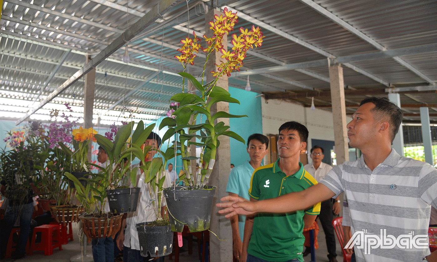 CLB là nơi tập hợp những người chung niềm đam mê hoa lan.