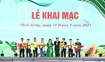 Khai mạc 