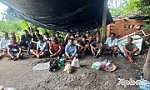 Tiền Giang: Trong 1 ngày triệt phá 2 tụ điểm đá gà