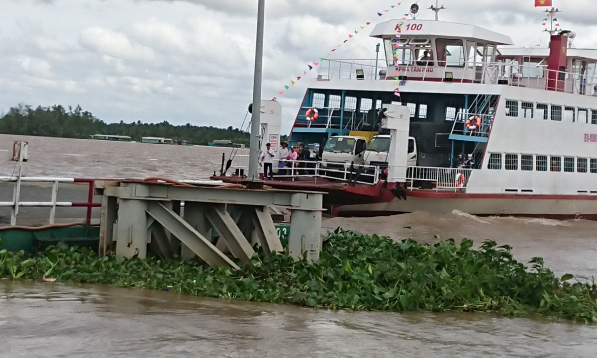 Các phà hoạt động hết công suất.