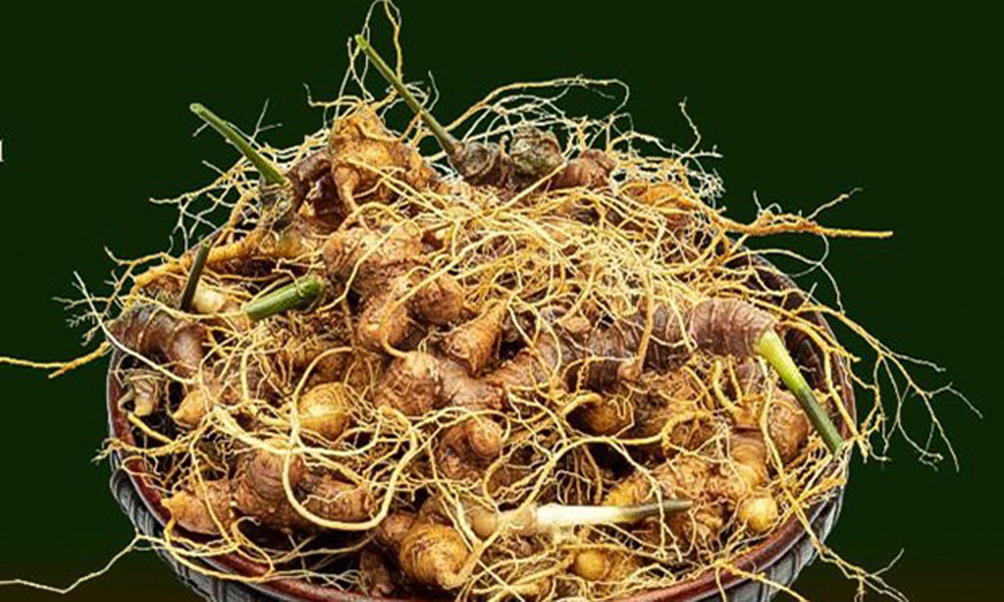 and product with an aim to becoming a major ginseng producer of the world by 2045.