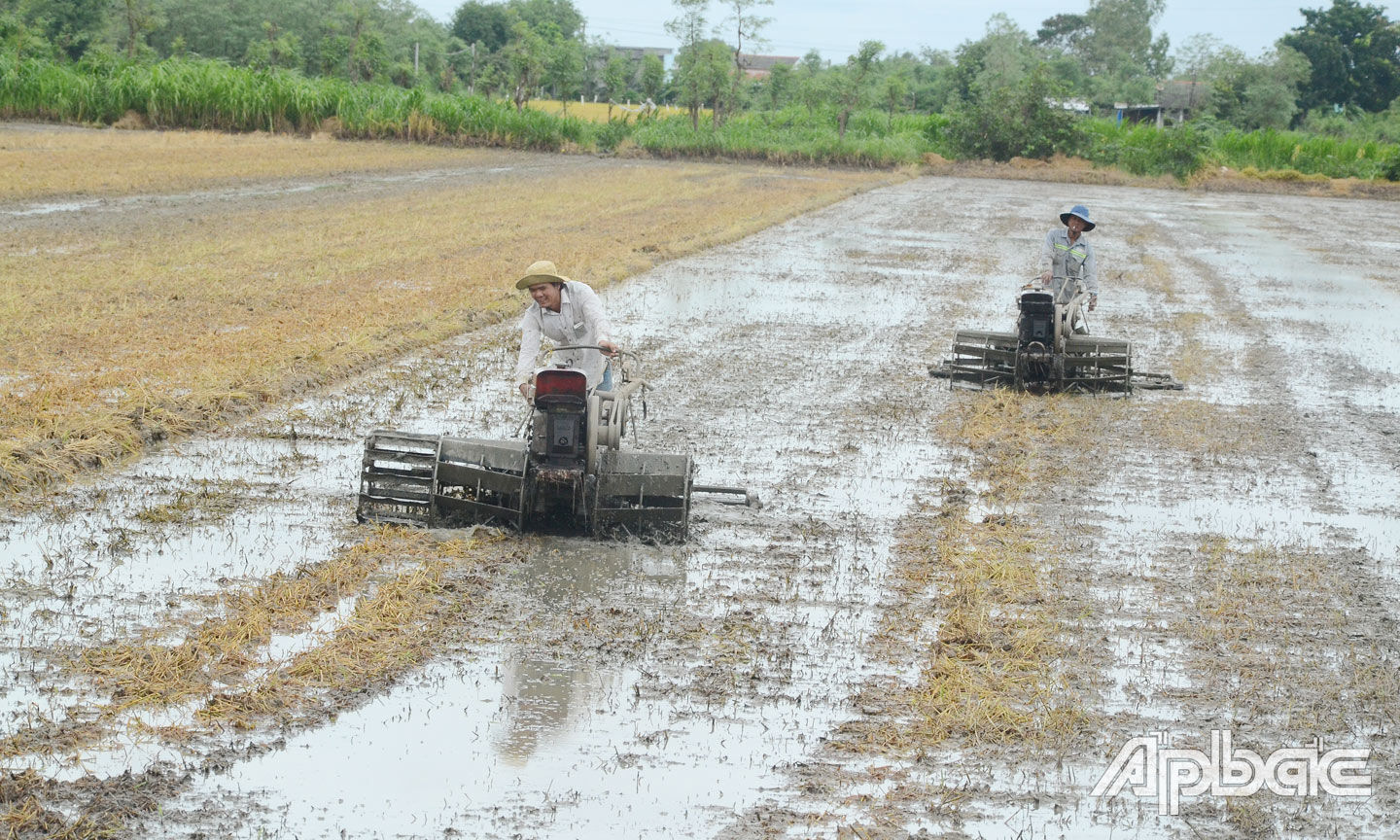 Làm đất để gieo sạ lúa  vụ thu đông ở xã Bình Tân.