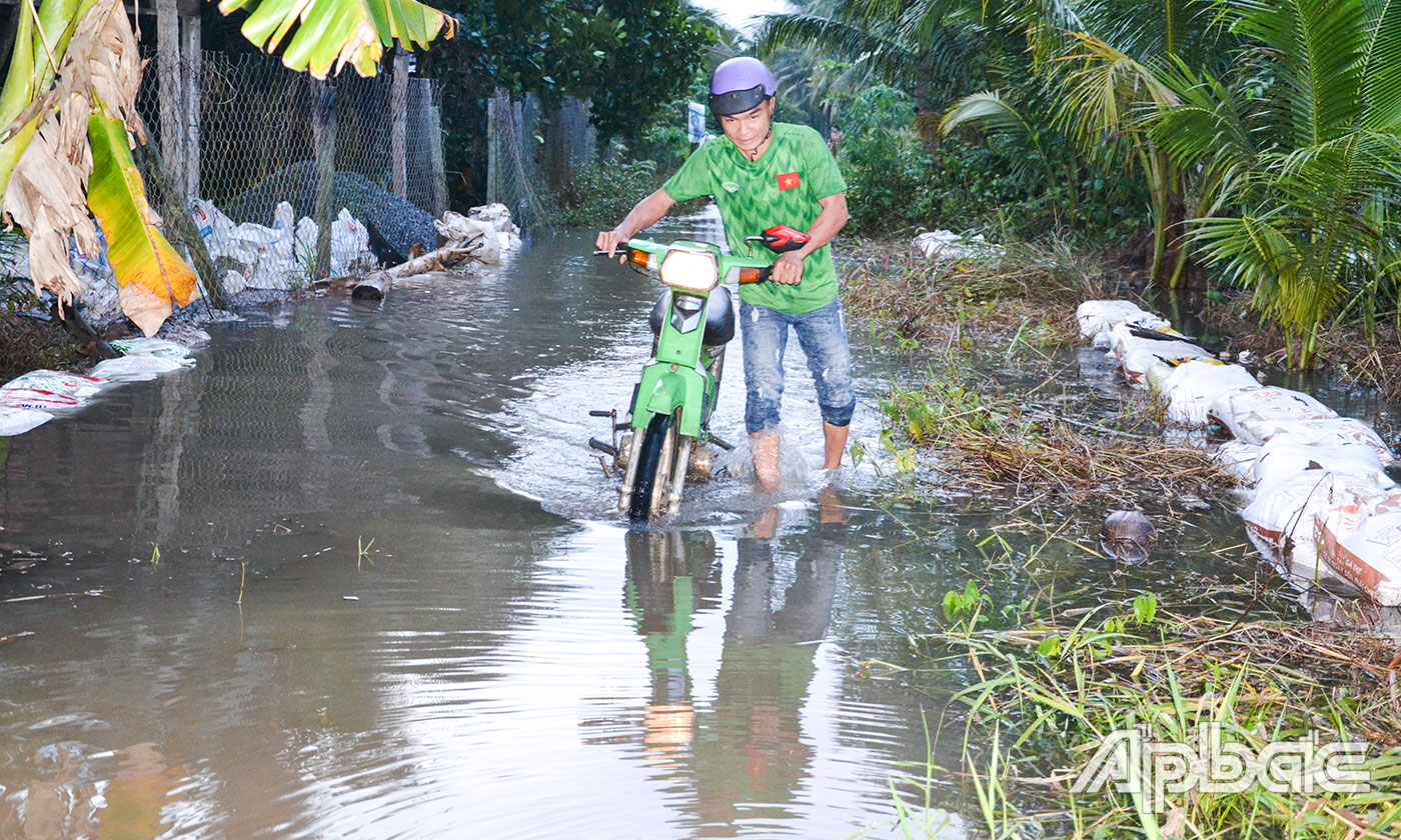 Ban Chỉ huy PCTT và TKCN tỉnh Tiền Giang cảnh báo triều cường trên địa bàn tỉnh trong những ngày tới.