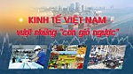 15H TỌA ĐÀM: Kinh tế việt Nam vượt những 'cơn gió ngược'