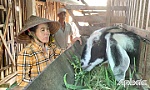 Tấm gương về nỗ lực thoát nghèo