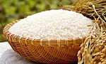 Price of Vietnam's exported rice maintains uptrend